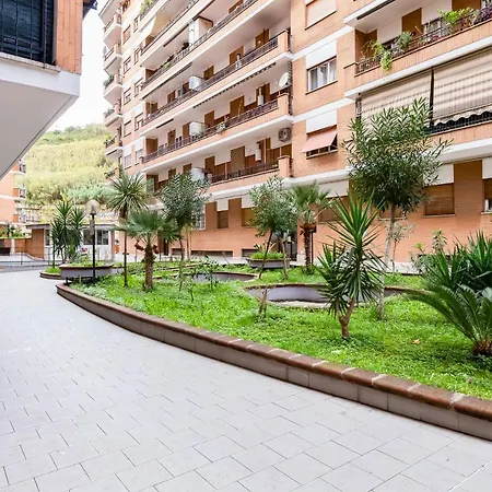 Vatican Andrea's Rome